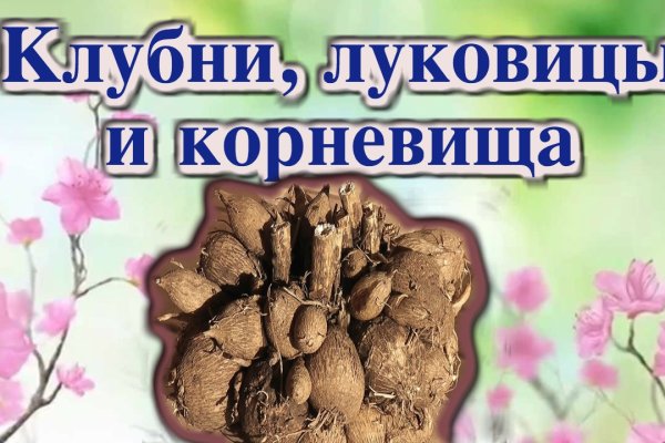 Официальный сайт кракен тор