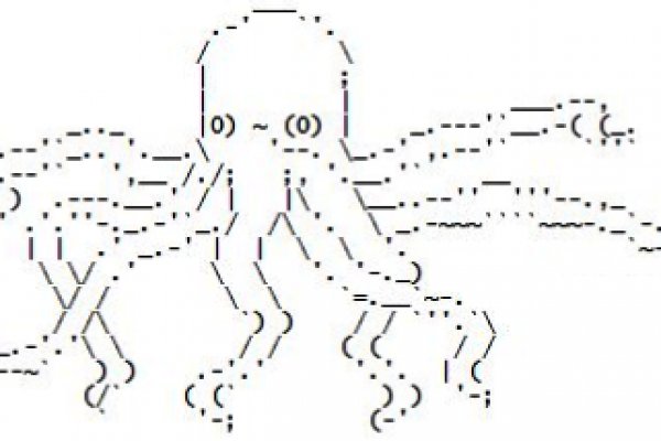 Kraken whitenet market