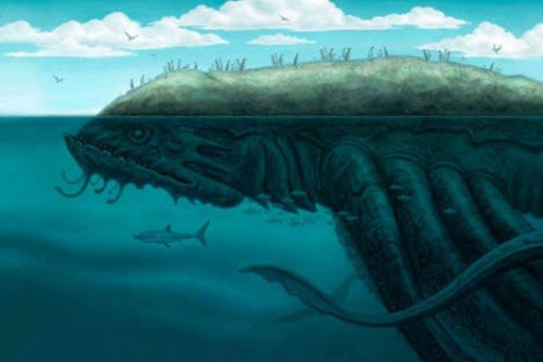 Настоящий сайт kraken