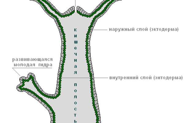 Ссылки на супернет